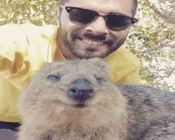 McKola is an animal lover and animal also loves his company.